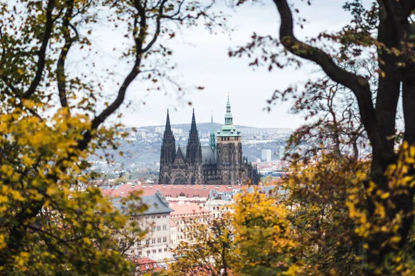 St. Vitus catedral en Prague, República Checa —  Fotos de Stock