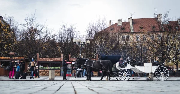 Oude stadsplein in Praag, Tsjechië — Stockfoto