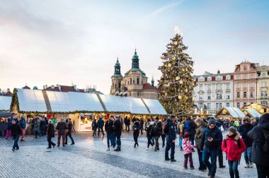 Noel ağacı Prag eski şehir Meydanı
