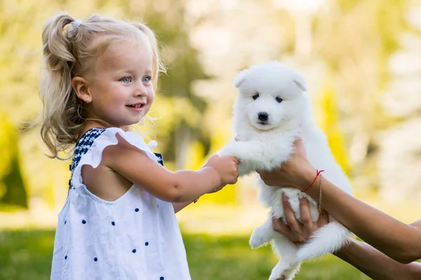 küçük kız onu köpek yavrusu Samoyed doğurmak öpüşme