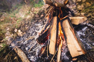 Doğada şenlik ateşi. Duman ile yanan odun.