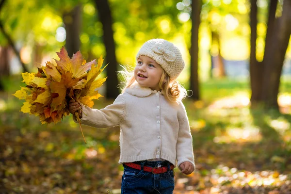 Niña alegre en el parque en otoño con hojas en las manos — Foto de Stock