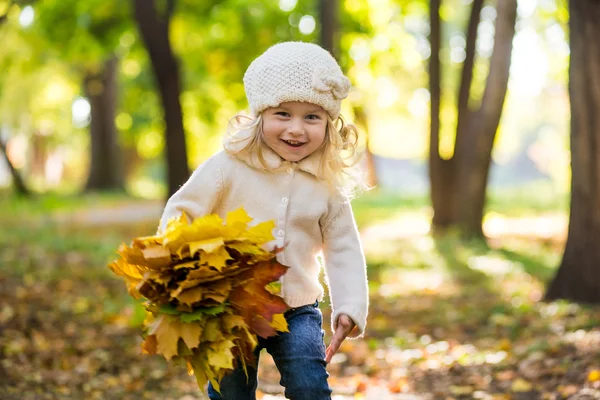 Радостная маленькая девочка в парке осенью с листьями в руках — стоковое фото