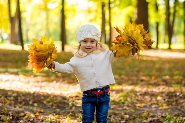 Niña alegre en el parque en otoño con hojas en las manos — Foto de Stock