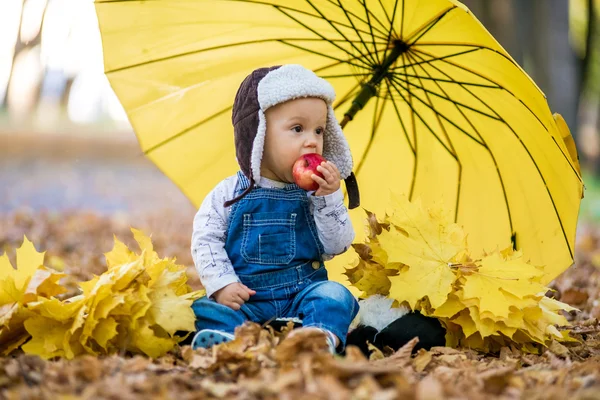 Little boy sitting in autumn park with an umbrella and eating an apple — Stock Photo, Image