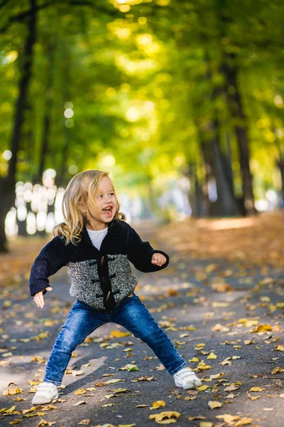 Милая маленькая девочка с осенними листьями в парке — стоковое фото