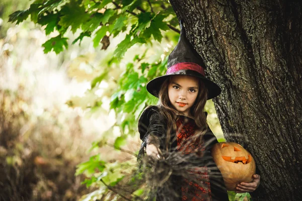 Fijne Halloween. Leuke kleine heks met een pompoen in de handen. — Stockfoto