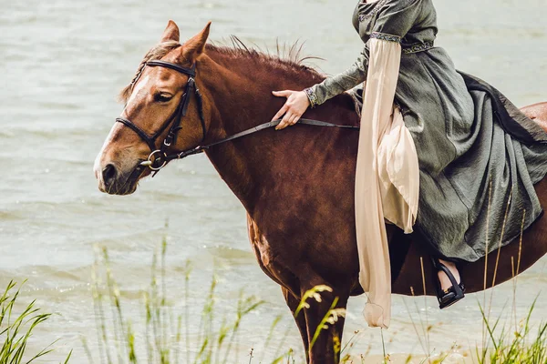 Nahaufnahme eines Pferdekopfes mit Details am Auge und an der Reiterhand. — Stockfoto