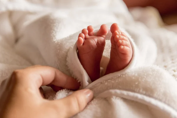 Bare feet of a cute newborn baby in warm white blanket. Small bare feet of a little baby girl or boy. Sleeping newborn child. — Stock Photo, Image
