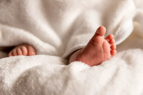 Los pies desnudos de un bebé recién nacido lindo en manta blanca cálida. Pequeños pies desnudos de una niña o niño. Niño recién nacido dormido . —  Fotos de Stock