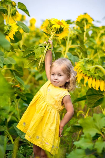 Vacker liten flicka i solrosor — Stockfoto