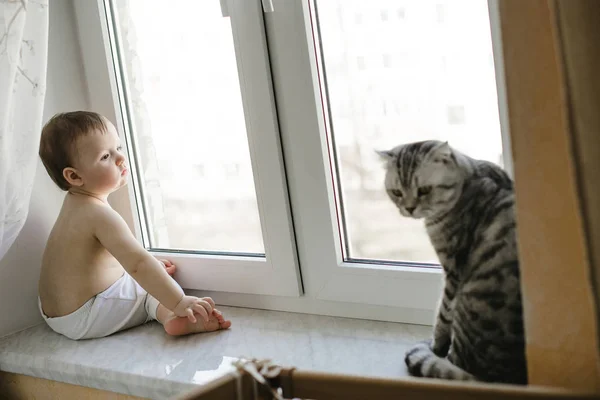 Bambino piccolo e un gatto seduto vicino alla finestra — Foto Stock