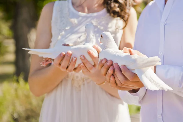 Novia y novio sosteniendo palomas en sus manos — Foto de Stock