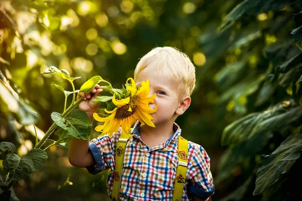 Gelukkig blonde jongen in een shirt op zonnebloem veld buitenshuis. Life style, zomertijd, echte emoties — Stockfoto