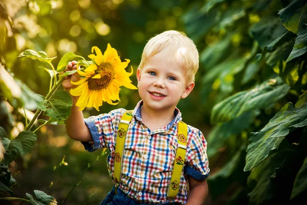 Gelukkig blonde jongen in een shirt op zonnebloem veld buitenshuis. Life style, zomertijd, echte emoties — Stockfoto