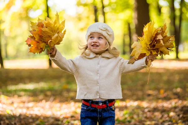 Niña alegre en el parque en otoño con hojas en las manos — Foto de Stock