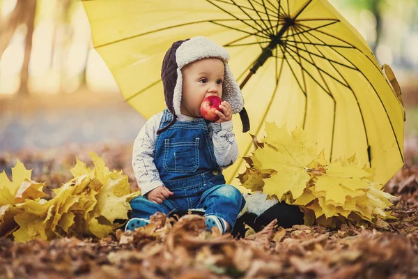 Kleine jongen zitten in herfst park met een paraplu en eten van een appel — Stockfoto