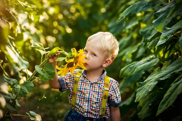 Gelukkig blonde jongen in een shirt op zonnebloem veld buitenshuis. Life style, zomertijd, echte emoties — Stockfoto
