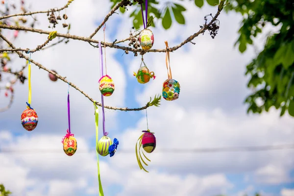 Several Easter colored eggs hanging on a tree branch — Stock Photo, Image