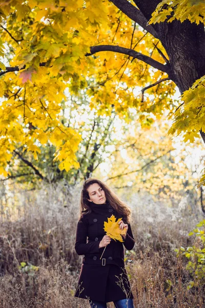Menina caminha no belo parque de outono — Fotografia de Stock