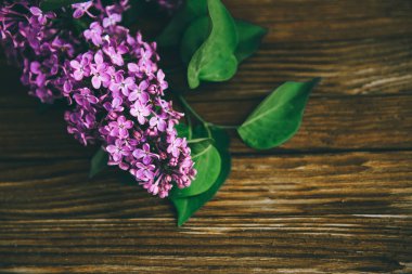 Ahşap arka plandaki güzel leylak