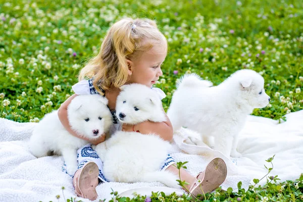 Happy little girl playing with Samoyed puppy — Stock Photo, Image