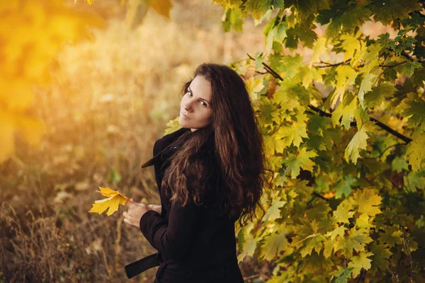 Chica camina en hermoso otoño parque —  Fotos de Stock