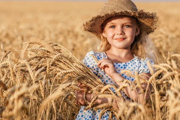 Šťastné dítě v podzimní pšeničné pole — Stock fotografie