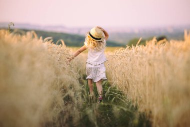 Gün ışığında buğday tarlasında koşan mutlu kız