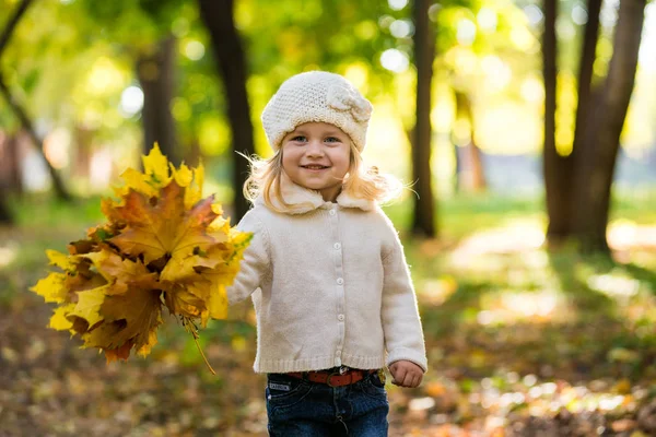 Niña alegre en el parque en otoño con hojas en las manos — Foto de Stock