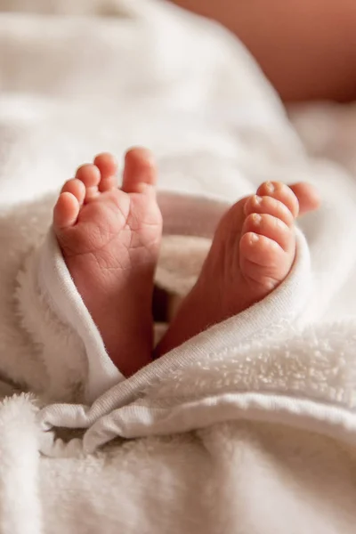 Pés nus de um bebê recém-nascido bonito em cobertor branco quente. Pequenos pés descalços de uma menina ou menino. Recém-nascido adormecido . — Fotografia de Stock
