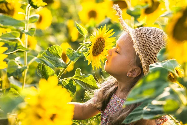 Vacker liten flicka i solrosor — Stockfoto