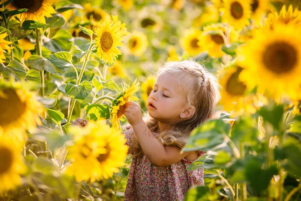 Mooie meisje in zonnebloemen — Stockfoto