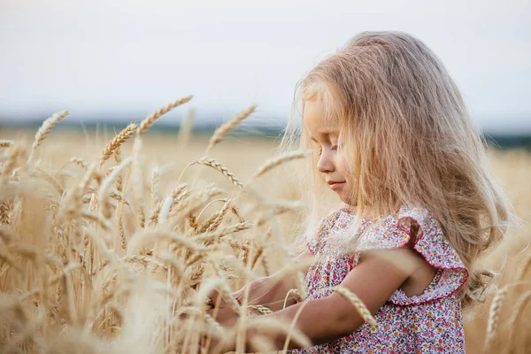 Schattig klein meisje spelen op het gebied van de zomer van tarwe — Stockfoto