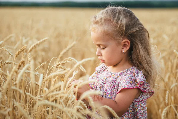 Schattig klein meisje spelen op het gebied van de zomer van tarwe — Stockfoto