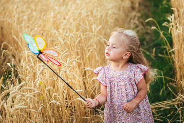 Linda niña jugando en el campo de verano de trigo — Foto de Stock