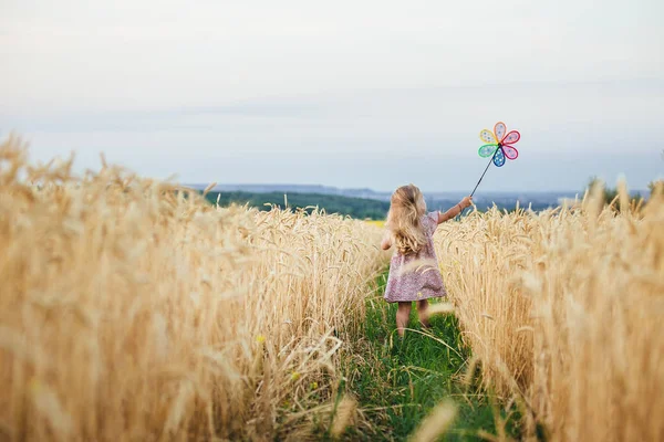 Schattig klein meisje spelen op het gebied van de zomer van tarwe — Stockfoto