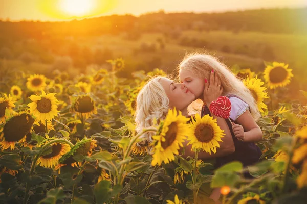 Anne ve kızı ayçiçeği tarlasında — Stok fotoğraf