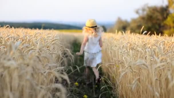 Glad springande flicka på ett vetefält i solljuset — Stockvideo