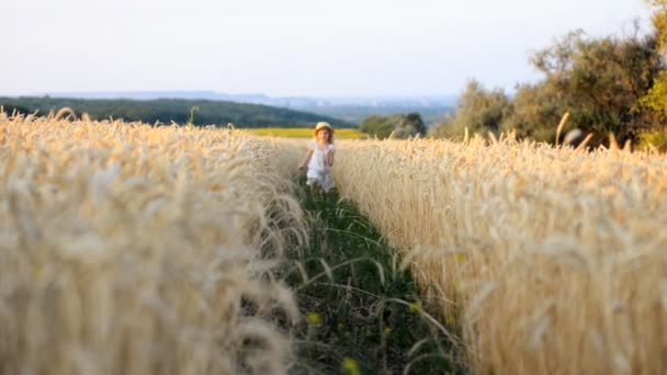 Ευτυχισμένο κορίτσι τρέχει σε ένα χωράφι με σιτάρι στο φως του ήλιου — Αρχείο Βίντεο