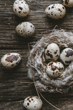 Ahşap arka planda bir yuvada bıldırcın yumurtası