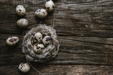 Ahşap arka planda bir yuvada bıldırcın yumurtası
