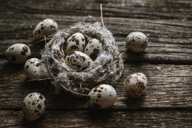 Ahşap arka planda bir yuvada bıldırcın yumurtası