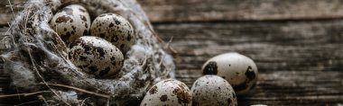 Ahşap arka planda bir yuvada bıldırcın yumurtası