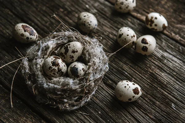 Quail eggs in a nest on a wooden background — Stock Photo, Image