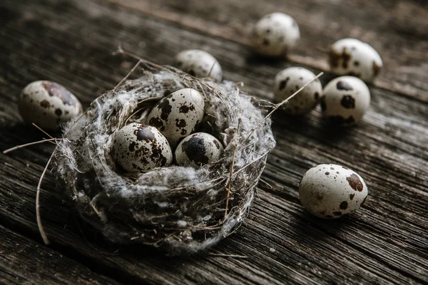 Ahşap arka planda bir yuvada bıldırcın yumurtası