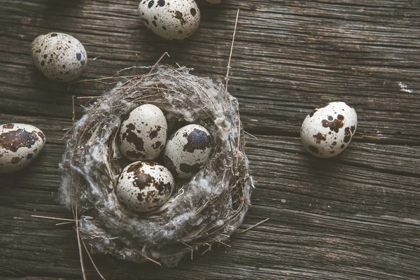 Quail eggs in a nest on a wooden background — Stock Photo, Image