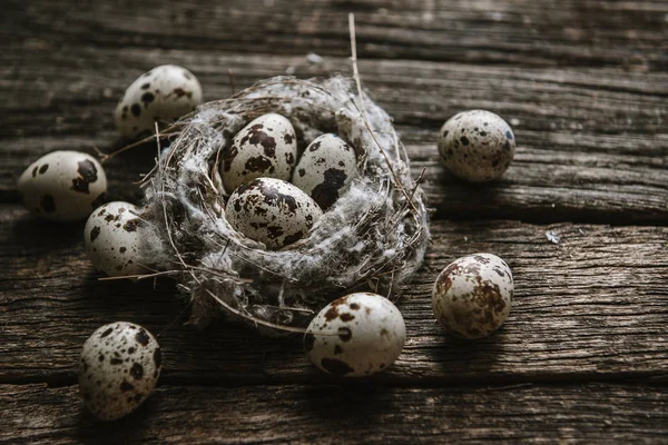 Ahşap arka planda bir yuvada bıldırcın yumurtası