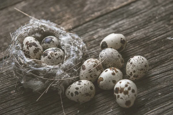 Oeufs de caille dans un nid sur un fond en bois — Photo