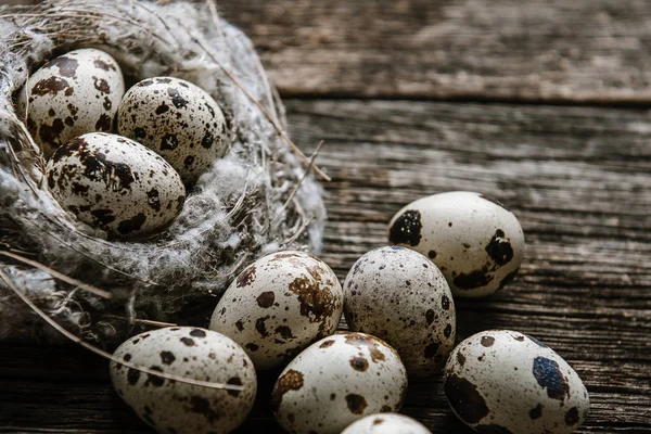 Oeufs de caille dans un nid sur un fond en bois — Photo